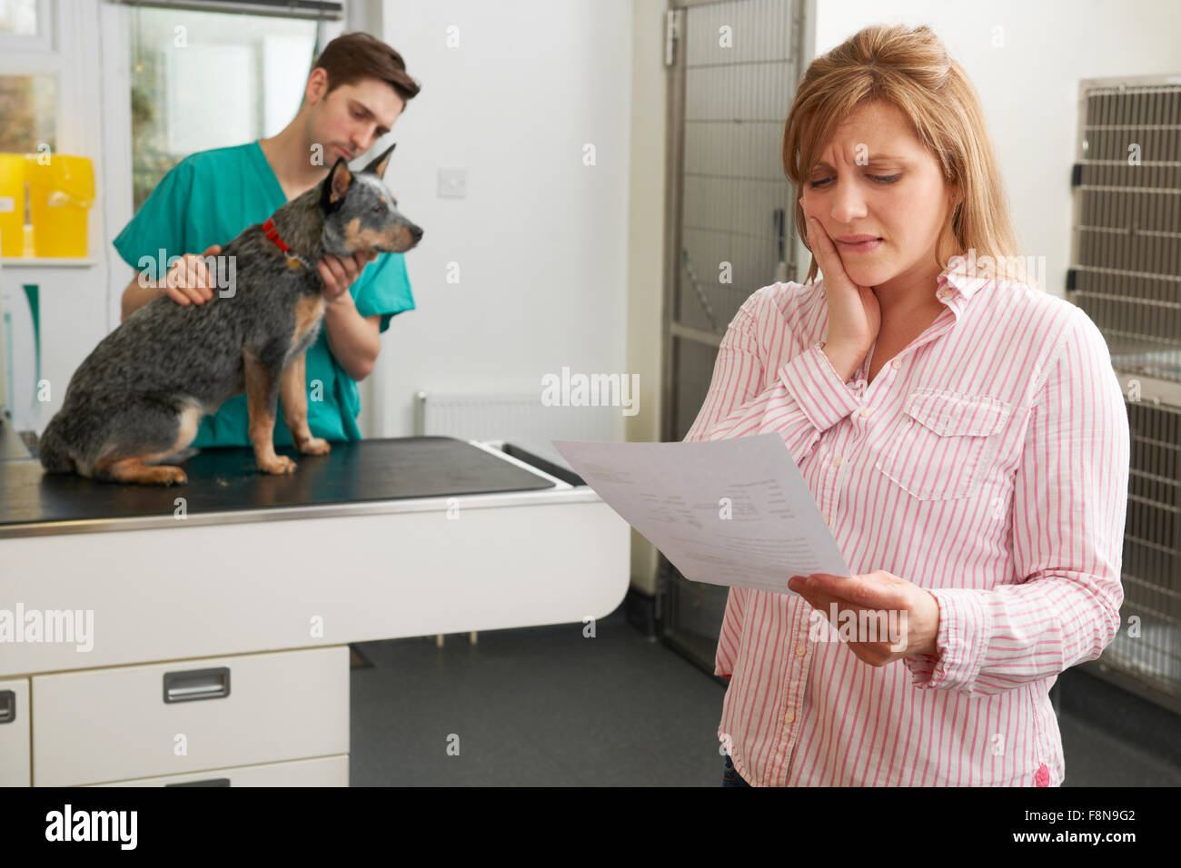 Worried Woman Looking At Bill en chirurgie vétérinaire Banque D'Images