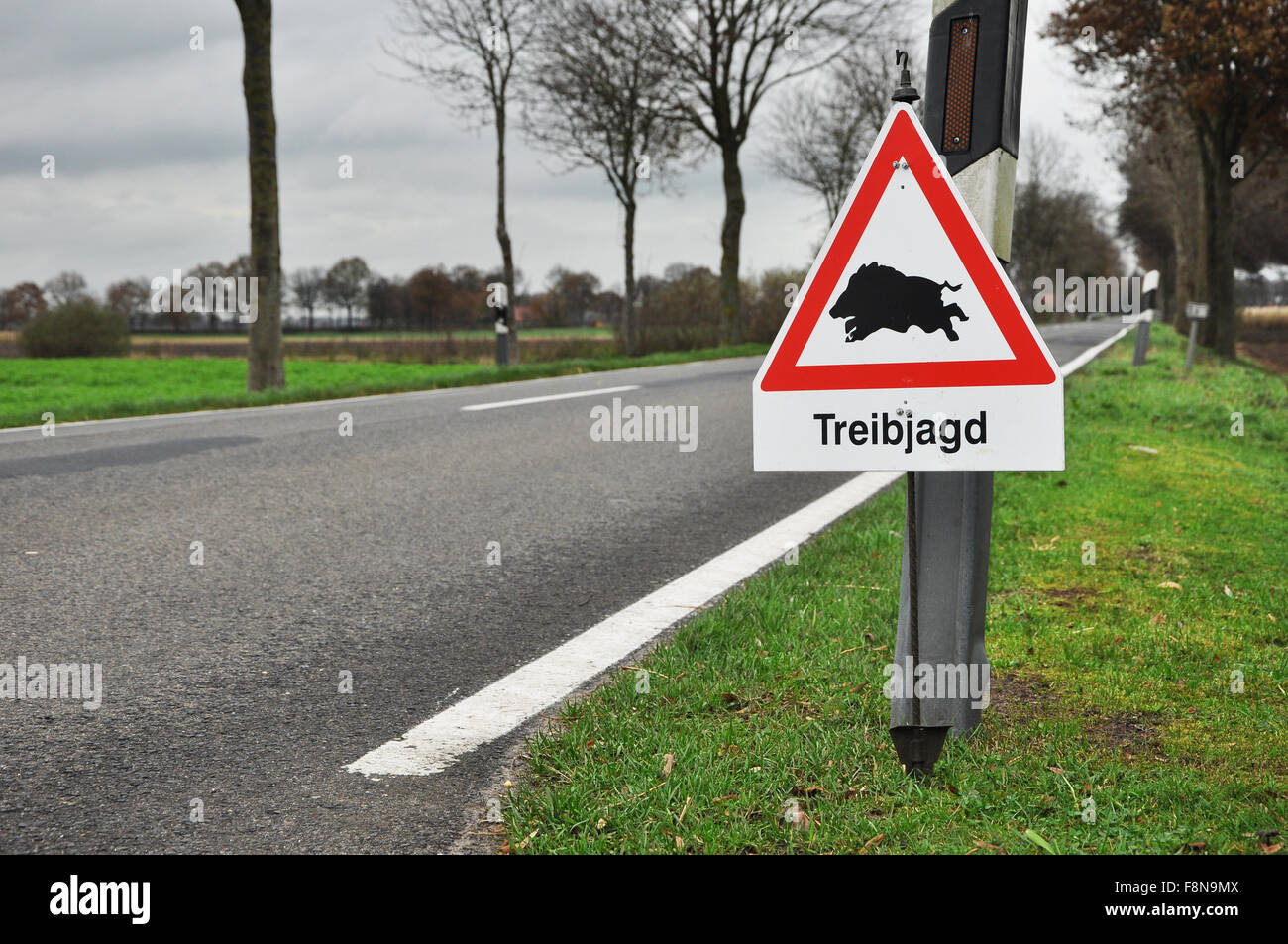 Signalisation routière pour la chasse sur les sangliers sur un côté de la route en Allemagne Banque D'Images