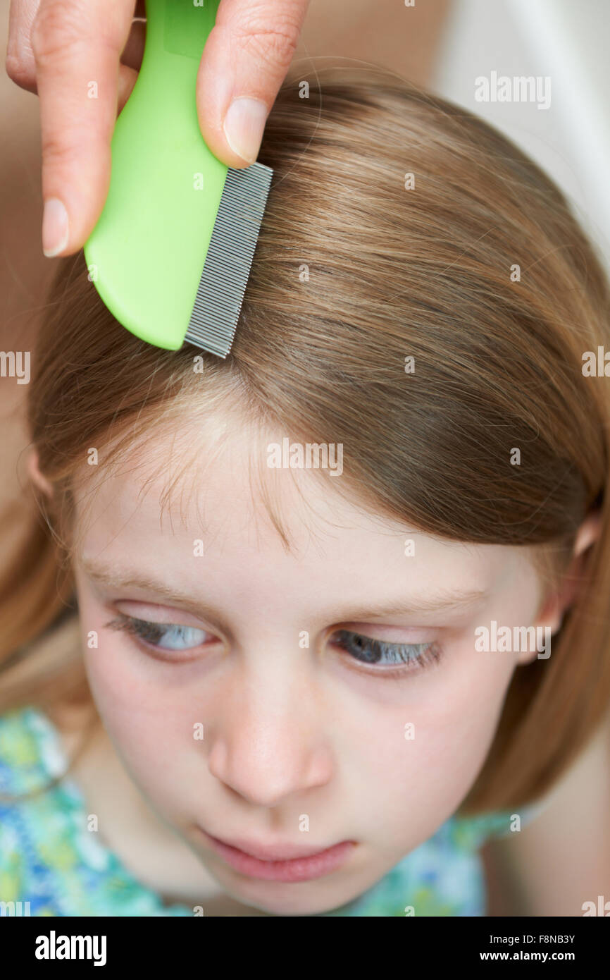 Mère contrôle les cheveux des filles pour le pou principal Banque D'Images Mère contrôle les cheveux des filles pour le pou principal Banque D'Images
