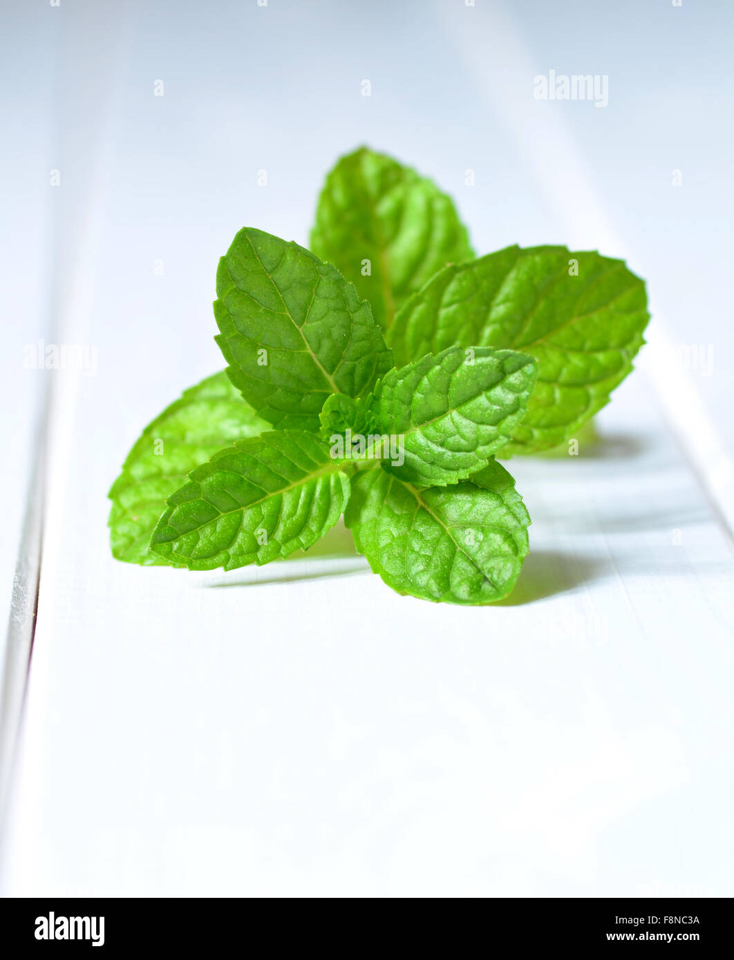 Des feuilles de menthe fraîchement cueillies Banque D'Images