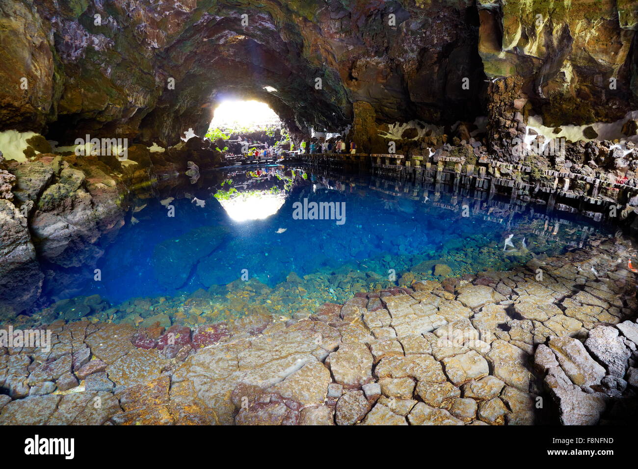 Jameos del Aqua, lac dans l'île de Lanzarote, grotte volcanique, Îles Canaries, Espagne Banque D'Images
