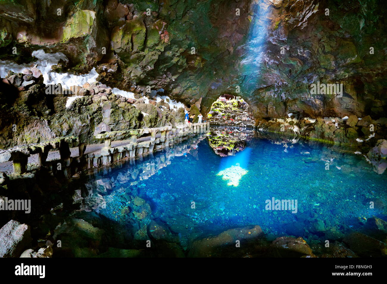 L'île de Lanzarote, Jameos del Aqua, lac en grotte volcanique, Îles Canaries, Espagne Banque D'Images