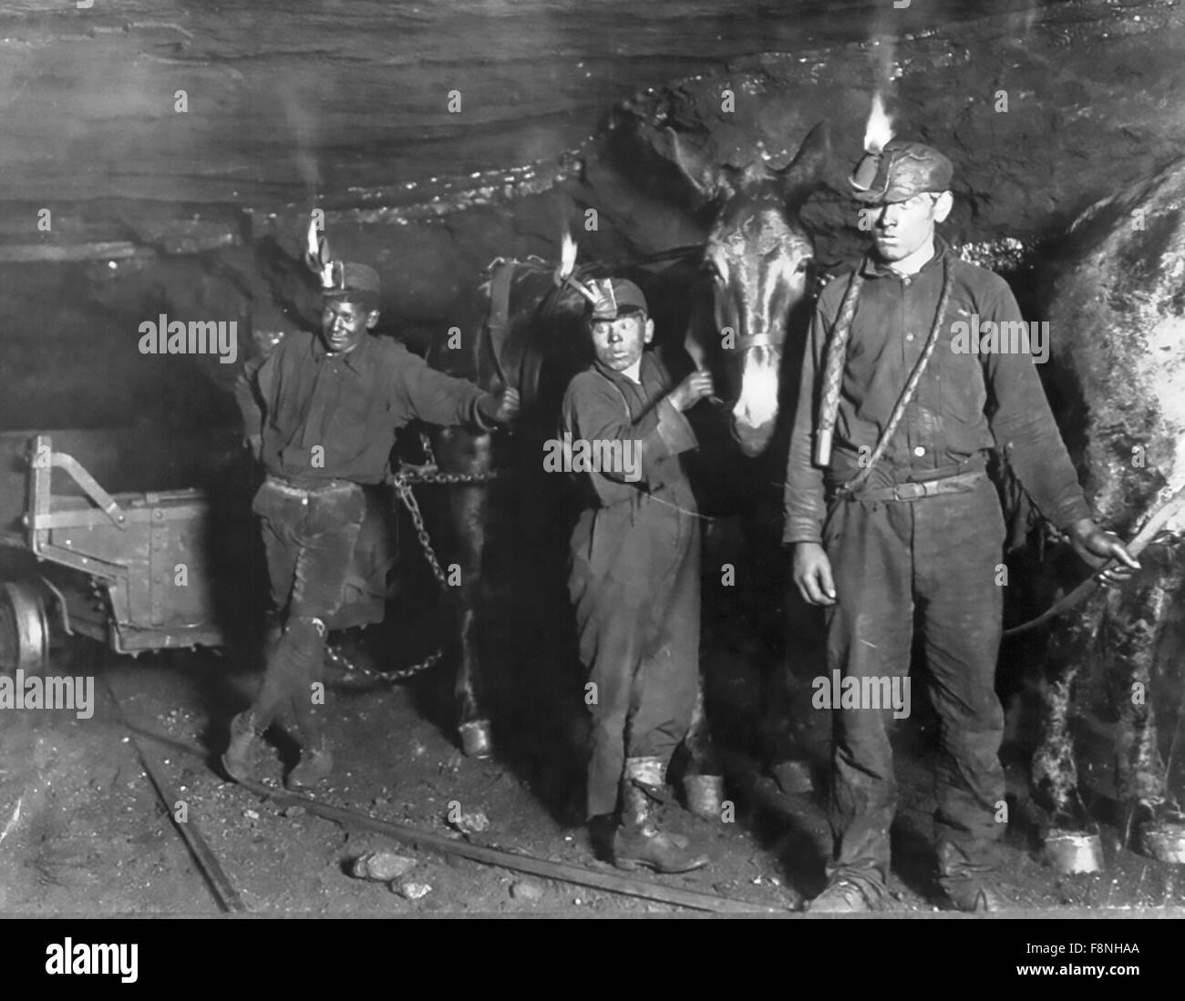 LEWIS Hine (1874-1940) Sociologue et photographe américain. Les mineurs de charbon de l'enfant avec leur wagon et mules dans une mine de Gary, en Virginie de l'Ouest, en septembre 1908 Banque D'Images