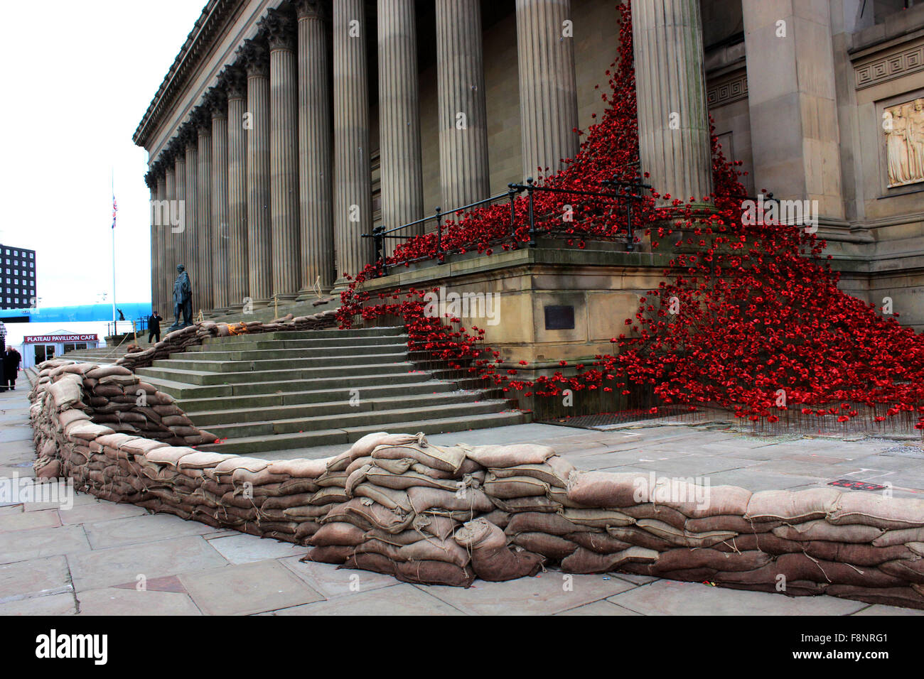 Pleureur 'Fenêtre' coquelicots au St George's Hall Liverpool Banque D'Images