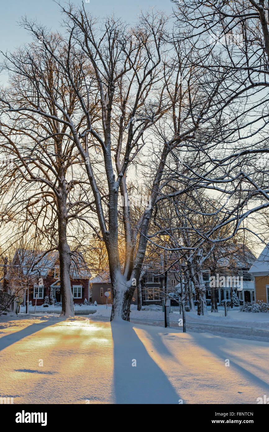 Des ombres sur la neige d'or au coucher du soleil. Banque D'Images