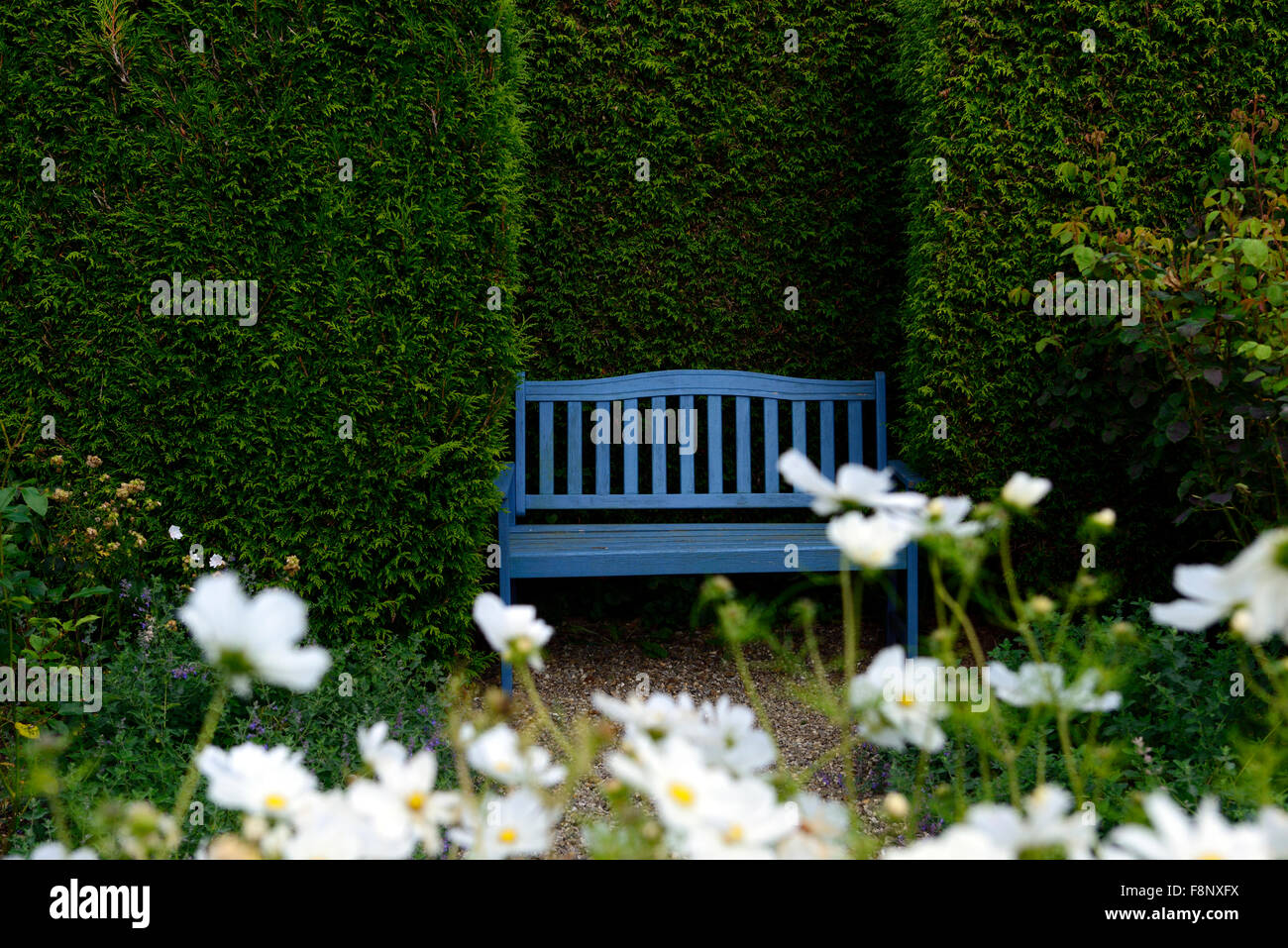 Bleu banc ensemble en hêtre siège couverture coin alcôve agréable jardin secret caché voir RM jardinage Floral Banque D'Images