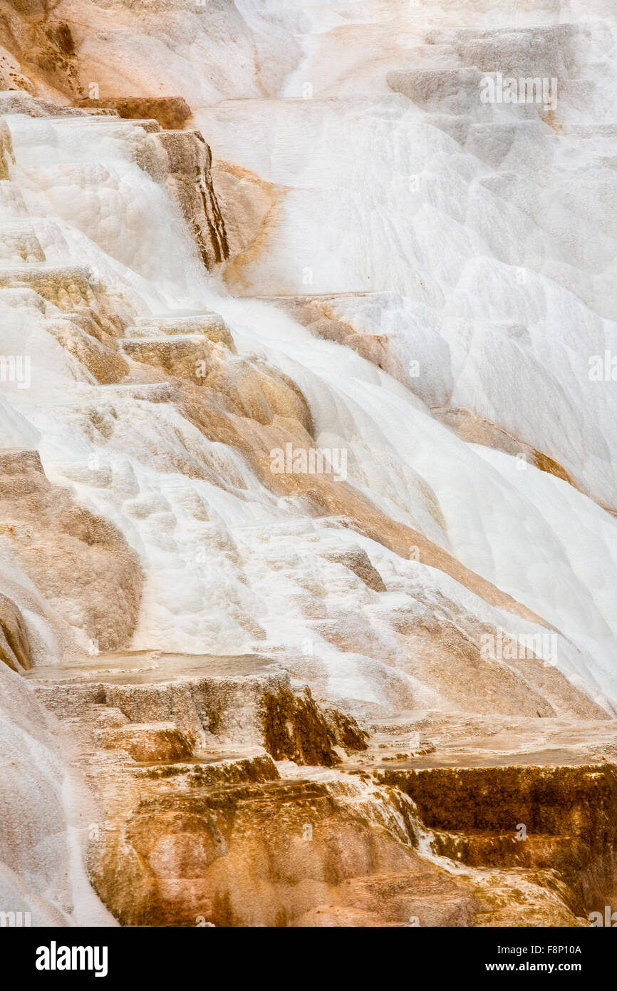 Le flux géothermique de chaud, l'eau riche en carbonate, formulaires en cascade, l'orange foncé et blanc travertin et terrasses de calcaire. Banque D'Images