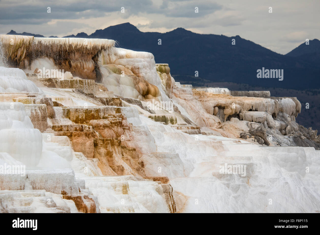 Le flux géothermique de chaud, l'eau riche en carbonate, formulaires, en cascade de terrasses en travertin orange foncé, avec des montagnes en arrière-plan Banque D'Images