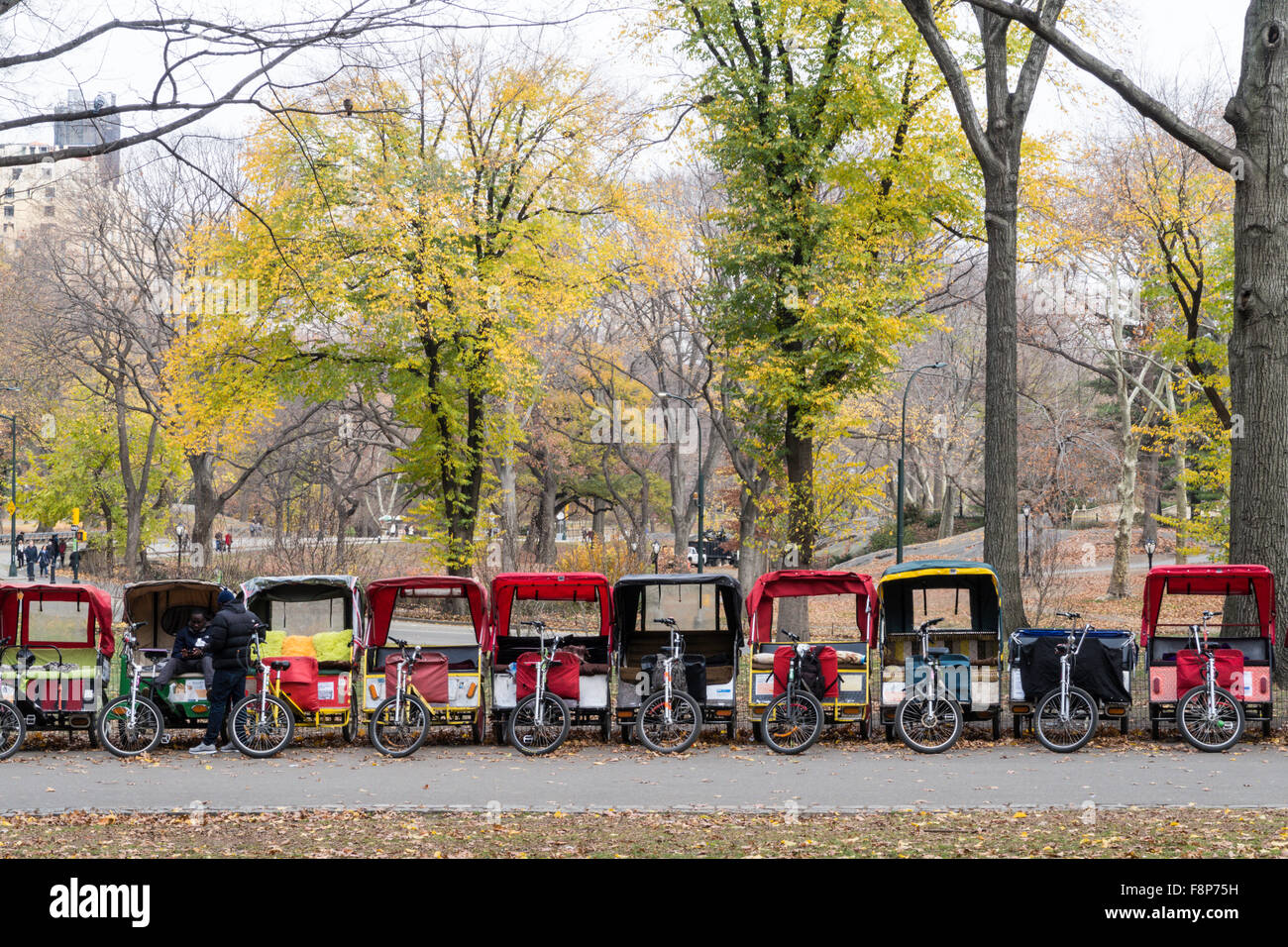 Des vélotaxis sont alignés dans Central Park, NYC Banque D'Images