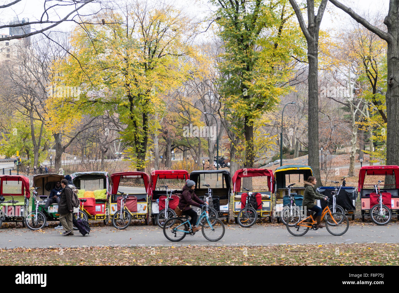 Des vélotaxis sont alignés dans Central Park, NYC Banque D'Images