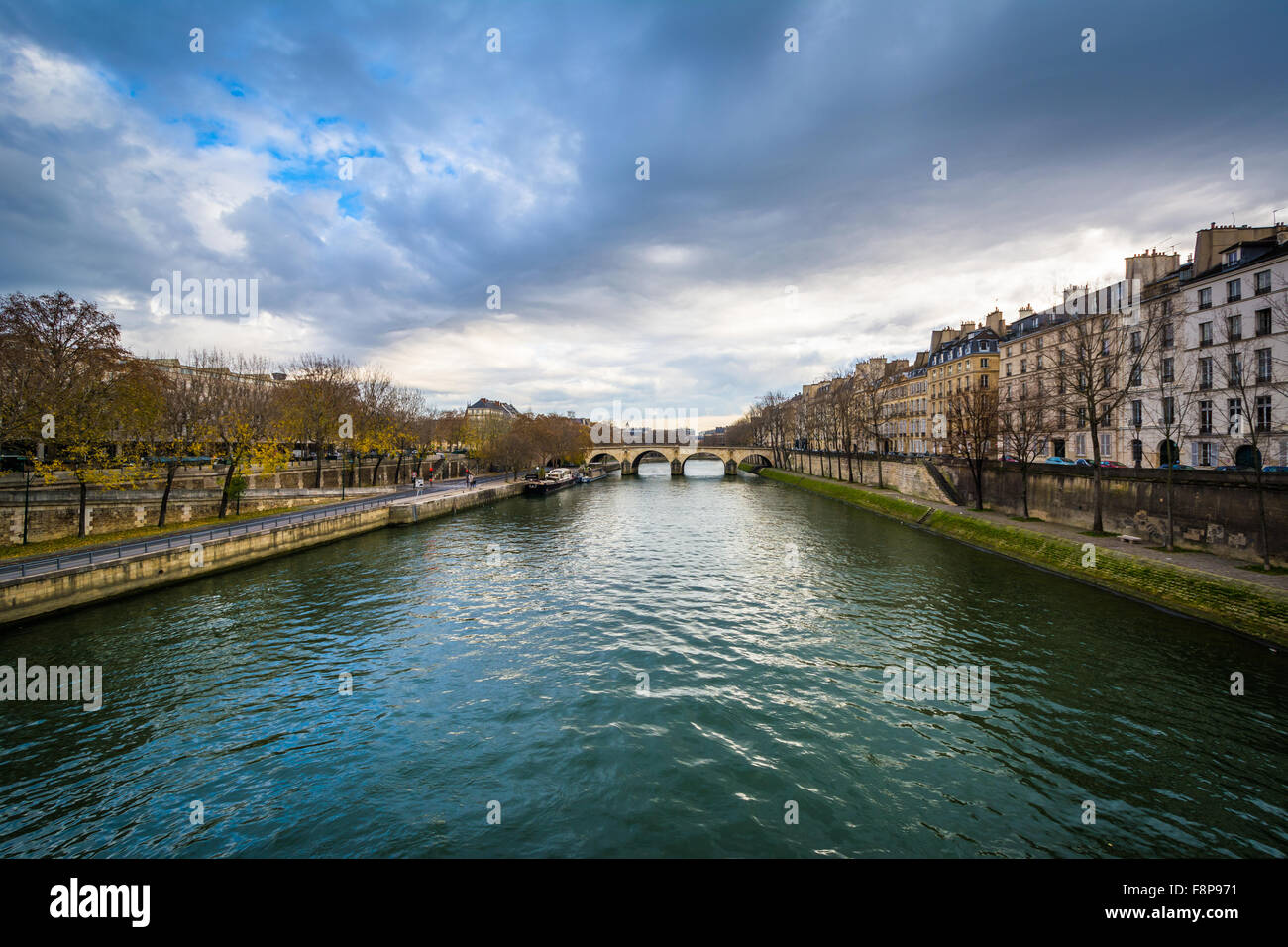 La Seine, à Paris, France. Banque D'Images