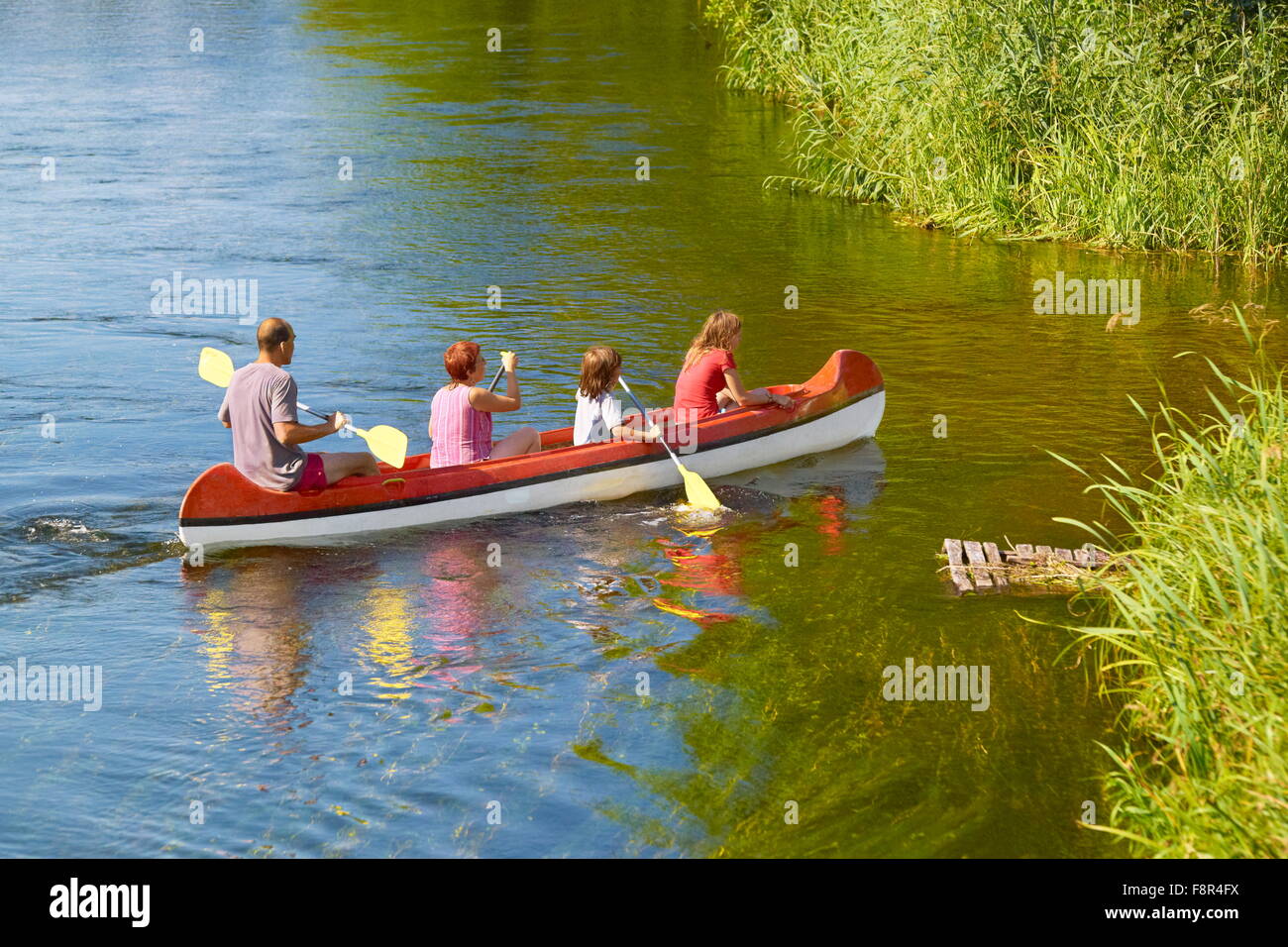 Kayak à la rivière Krutynia, région de la Mazurie, Pologne Banque D'Images