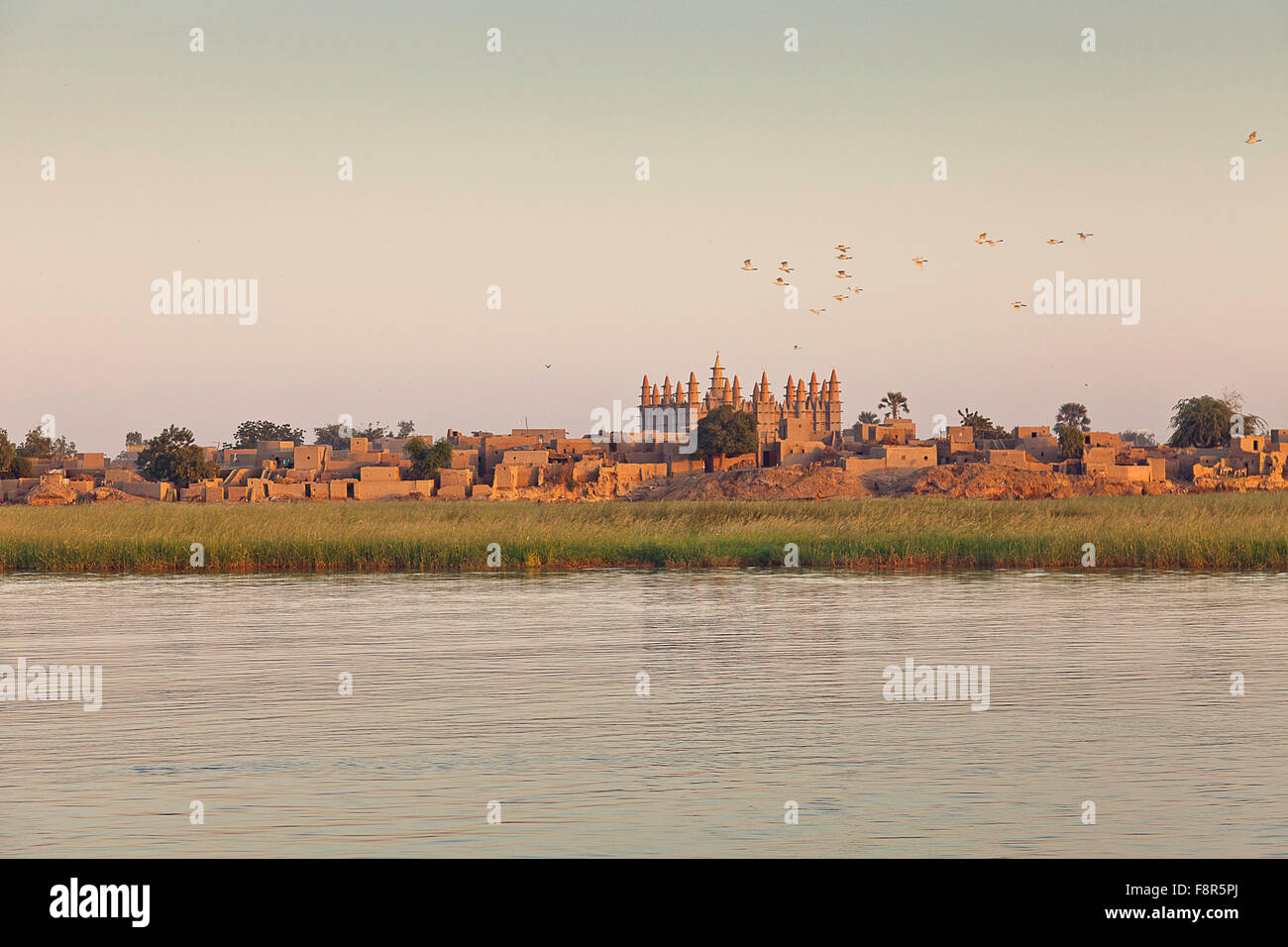 Un village le long du fleuve Niger au Mali Banque D'Images