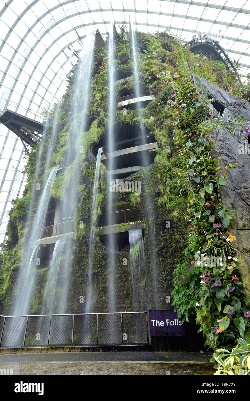 Jardins de Singapour par la baie - dome nuage falls Banque D'Images
