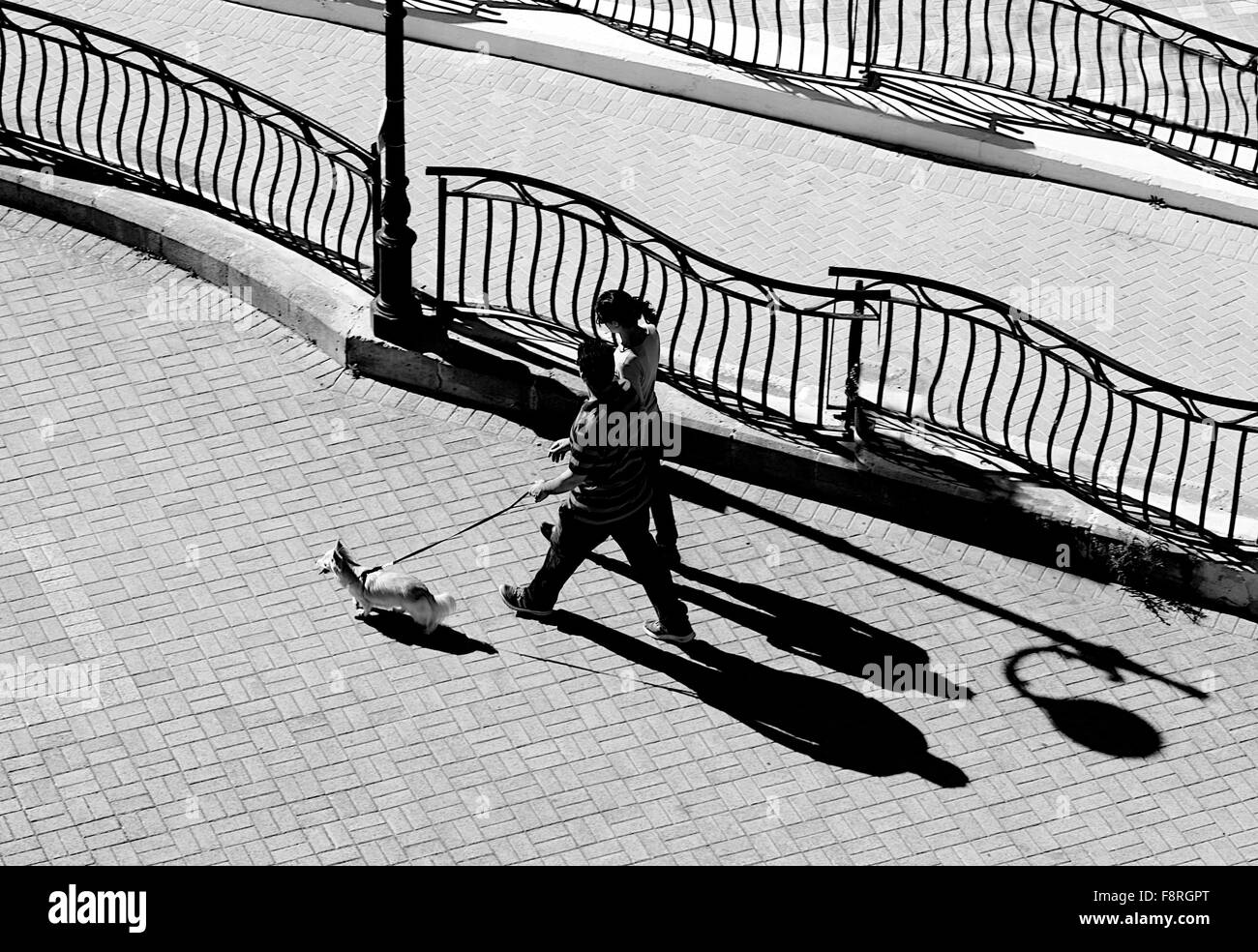 Vue aérienne de couple walking dog Banque D'Images