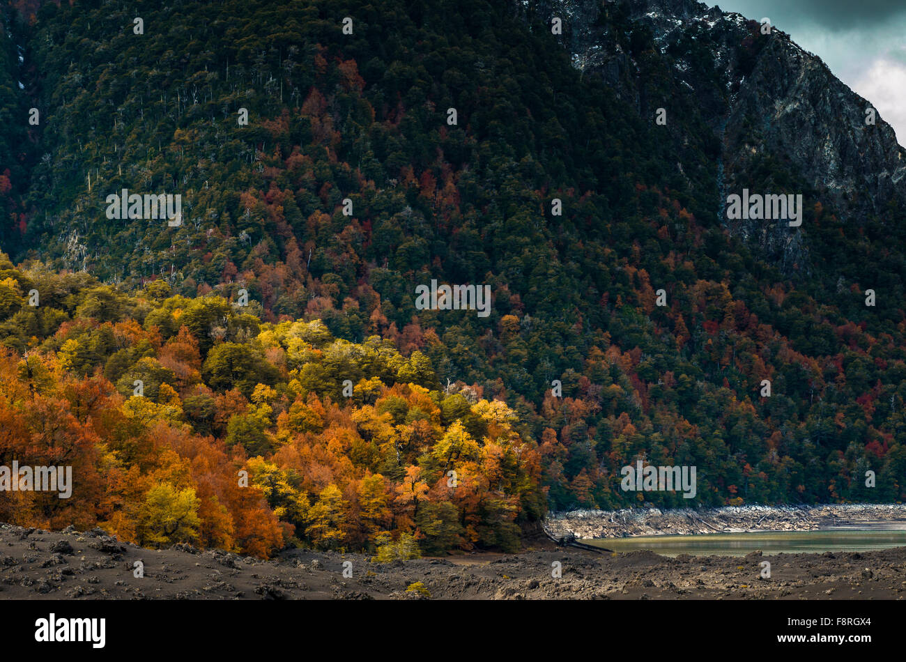 parque-nacional-conguillio-banque-de-photographies-et-d-images-haute