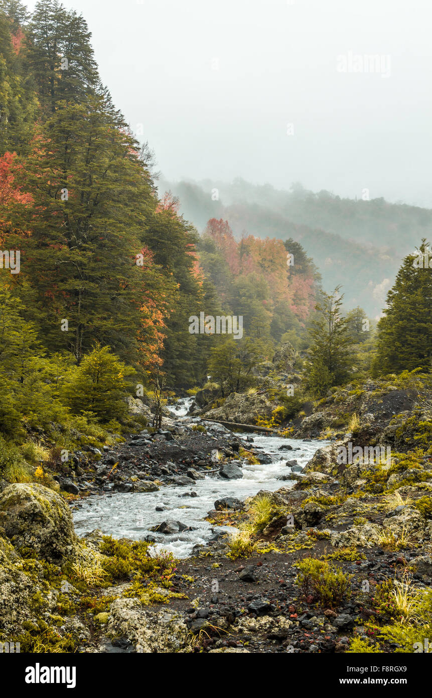 parque-nacional-conguillio-banque-de-photographies-et-d-images-haute