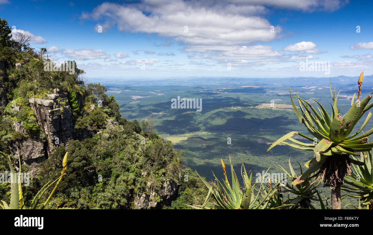 Paysage rural, Thaba Chweu, Mpumalanga, Afrique du Sud Banque D'Images