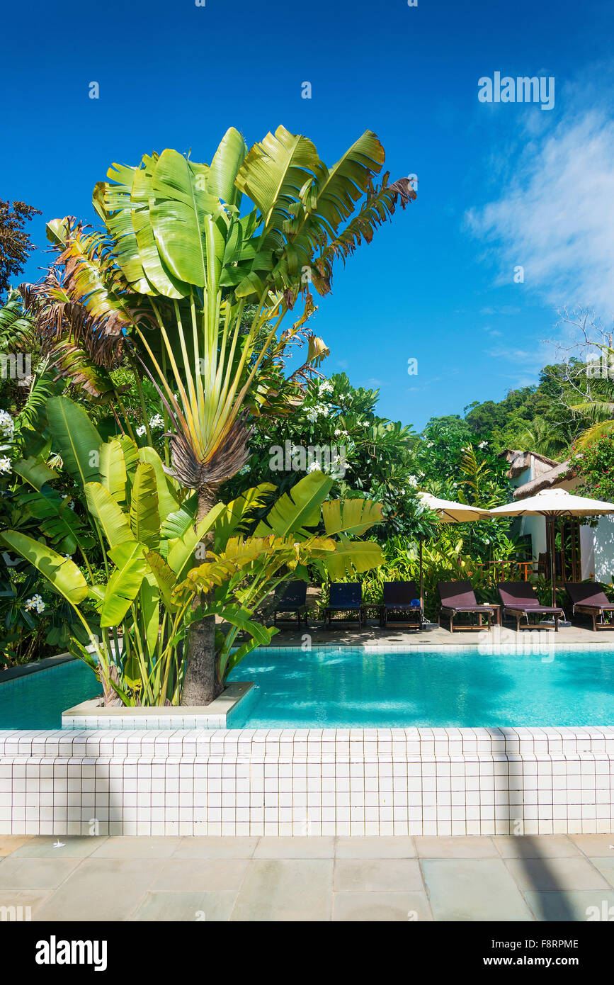 Exotique tropical resort piscine jardin à kep Cambodge Banque D'Images