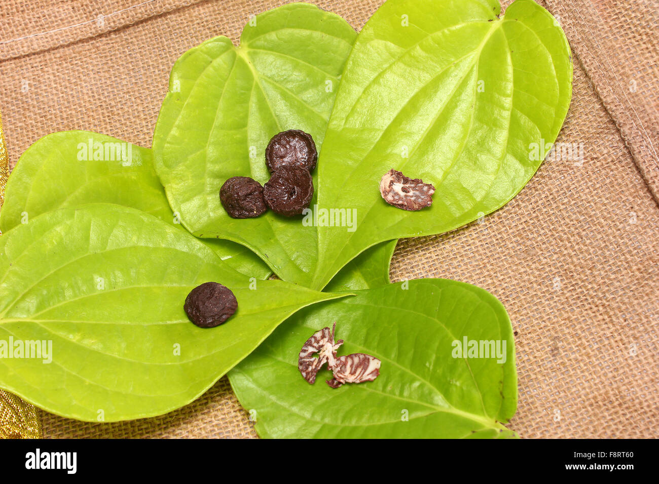 Feuille de bétel culture manger comestible de l'Asie Banque D'Images