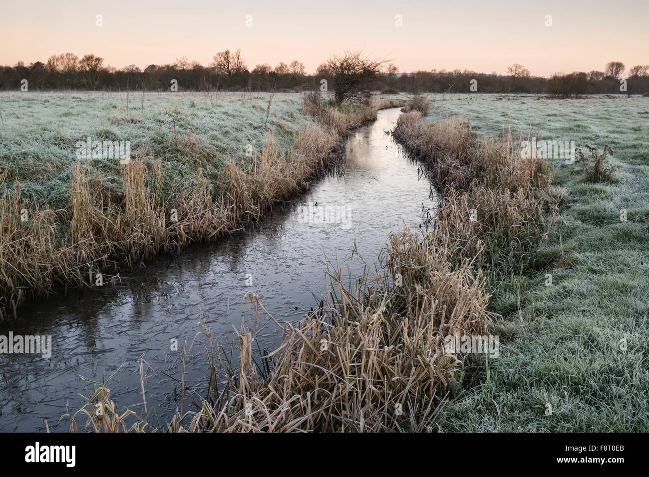 Lever du soleil sur la rivière paysage d'hiver et domaines couverts dans la région de frost Banque D'Images