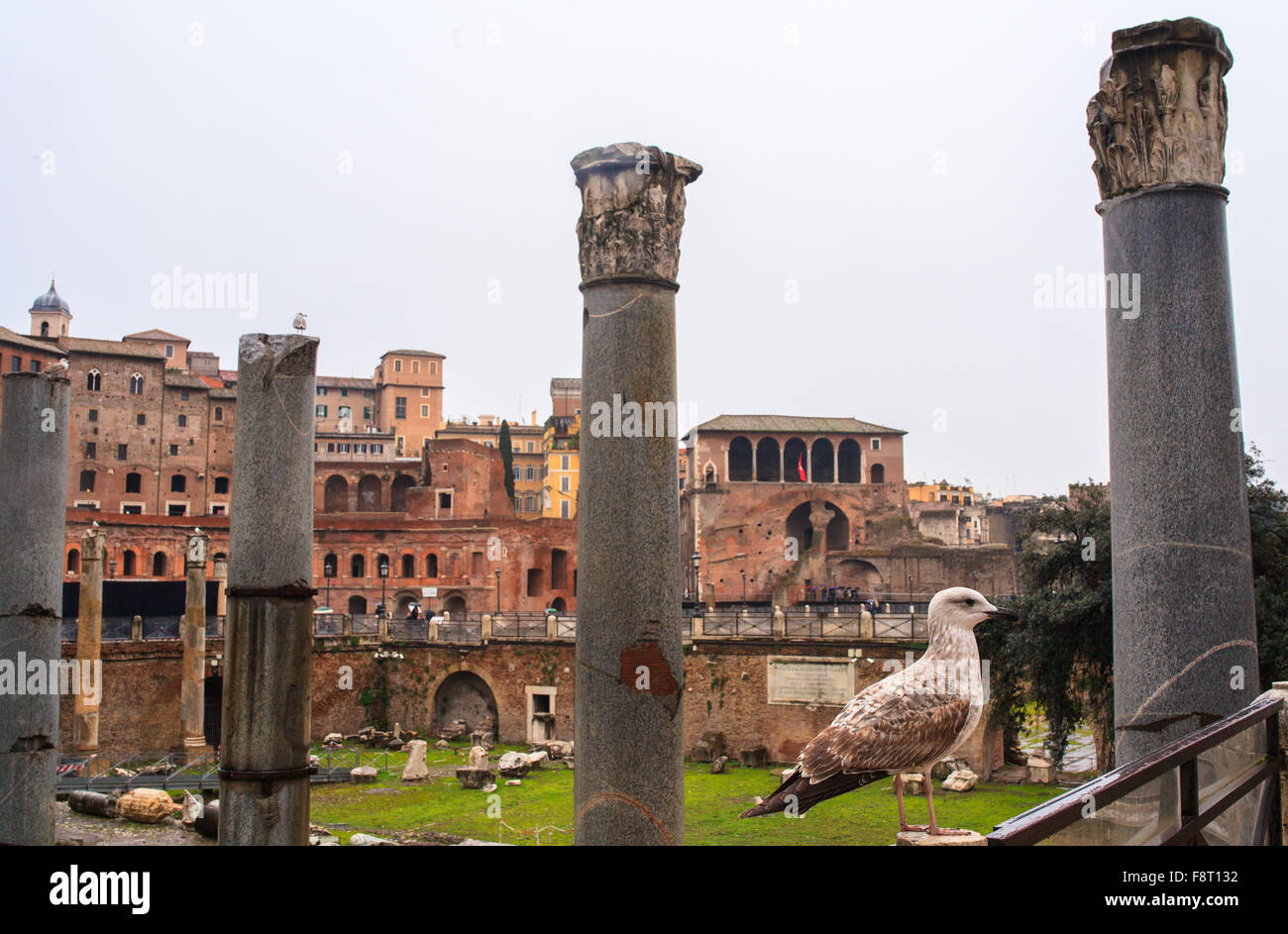 Avis de Forums impériaux de Rome, Italie Banque D'Images