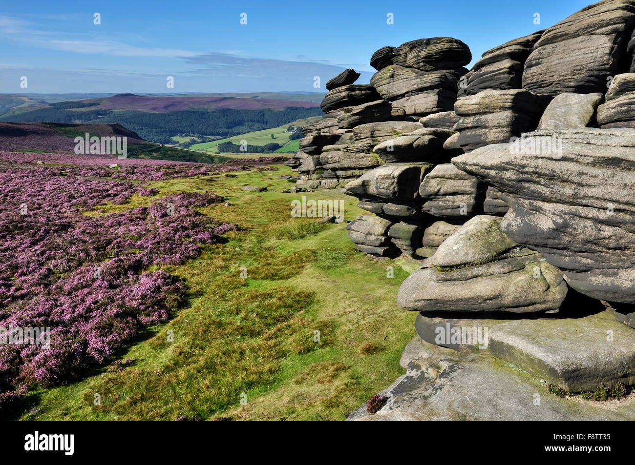 La roue des pierres sur le bord de la Derwent dans le Peak District, Derbyshire, Angleterre. Banque D'Images
