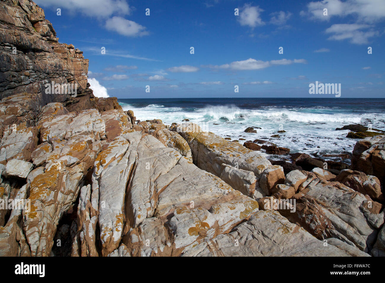 La pointe du Cap de Bonne Espérance avec des rochers en premier plan et les vagues dans l'océan et le ciel bleu en arrière-plan Banque D'Images
