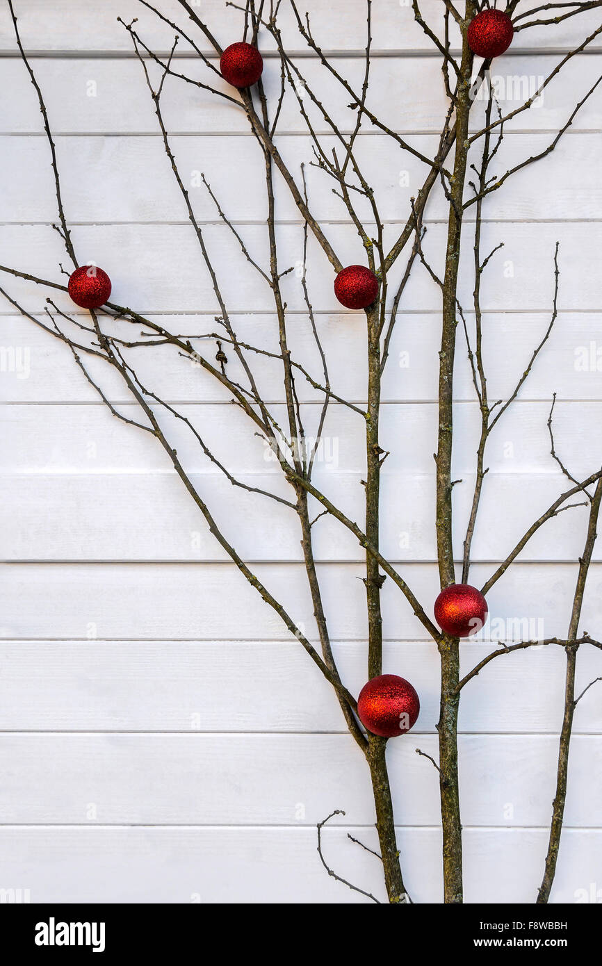 De nombreux arbres branche décorée de boules rouges utiliser comme décorations de Noël Banque D'Images