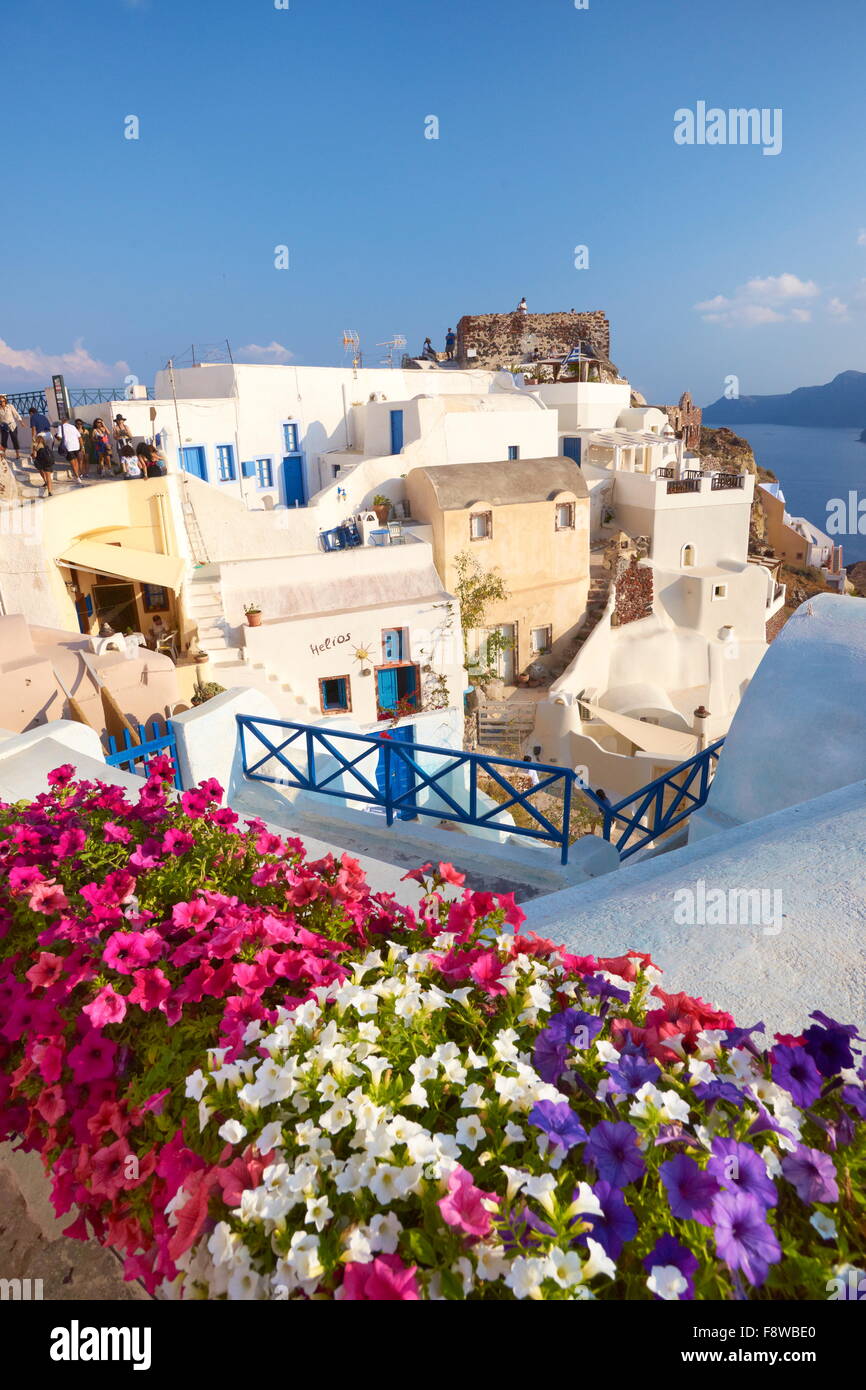 Terrasse avec des fleurs oranger, Oia, Santorin, Cyclades, Grèce Banque D'Images