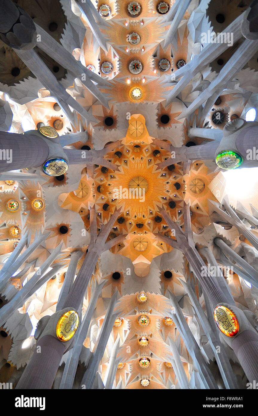 Plafond de la Sagrada Familia, Barcelone, Espagne, ​​Catalonia Banque D'Images