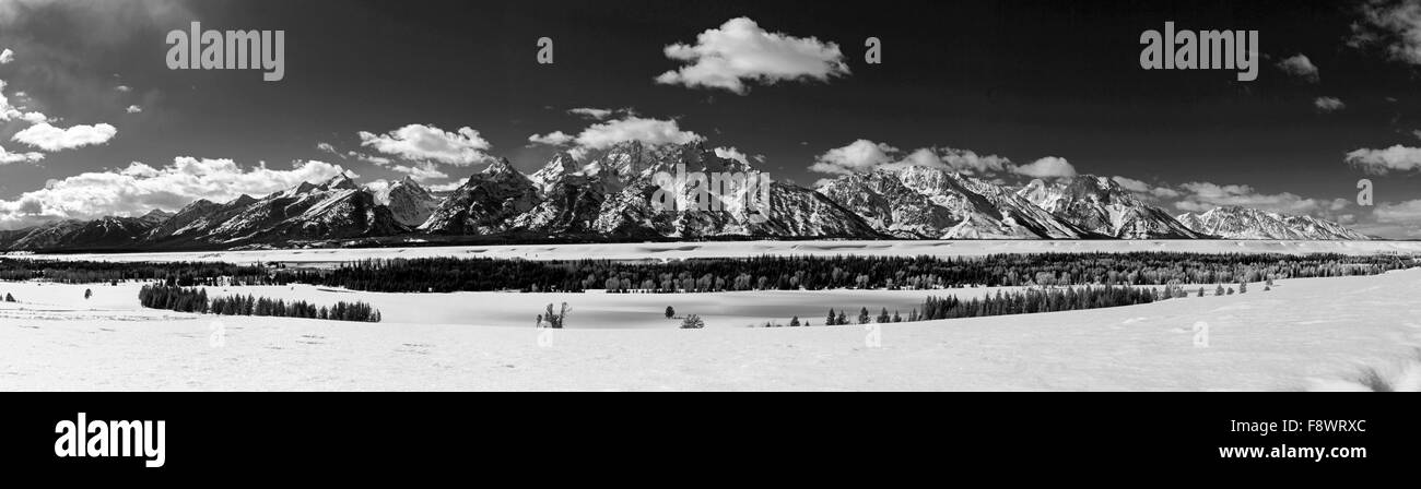 Noir & blanc hiver vue panoramique de la Teton Mountain Range, Wyoming, USA Banque D'Images