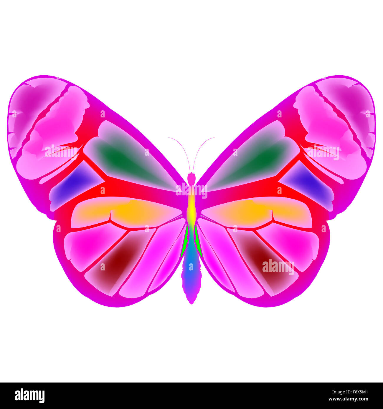 papillon 4 Banque D'Images