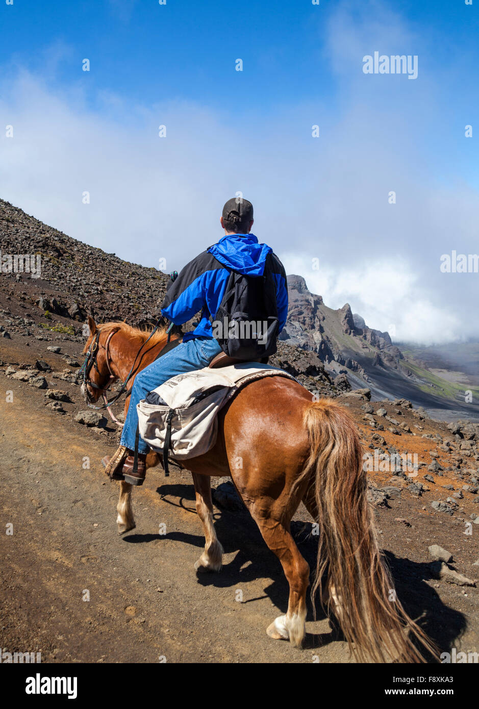 Cavalier sur la piste des sables bitumineux à l'Haleakala National Park Banque D'Images