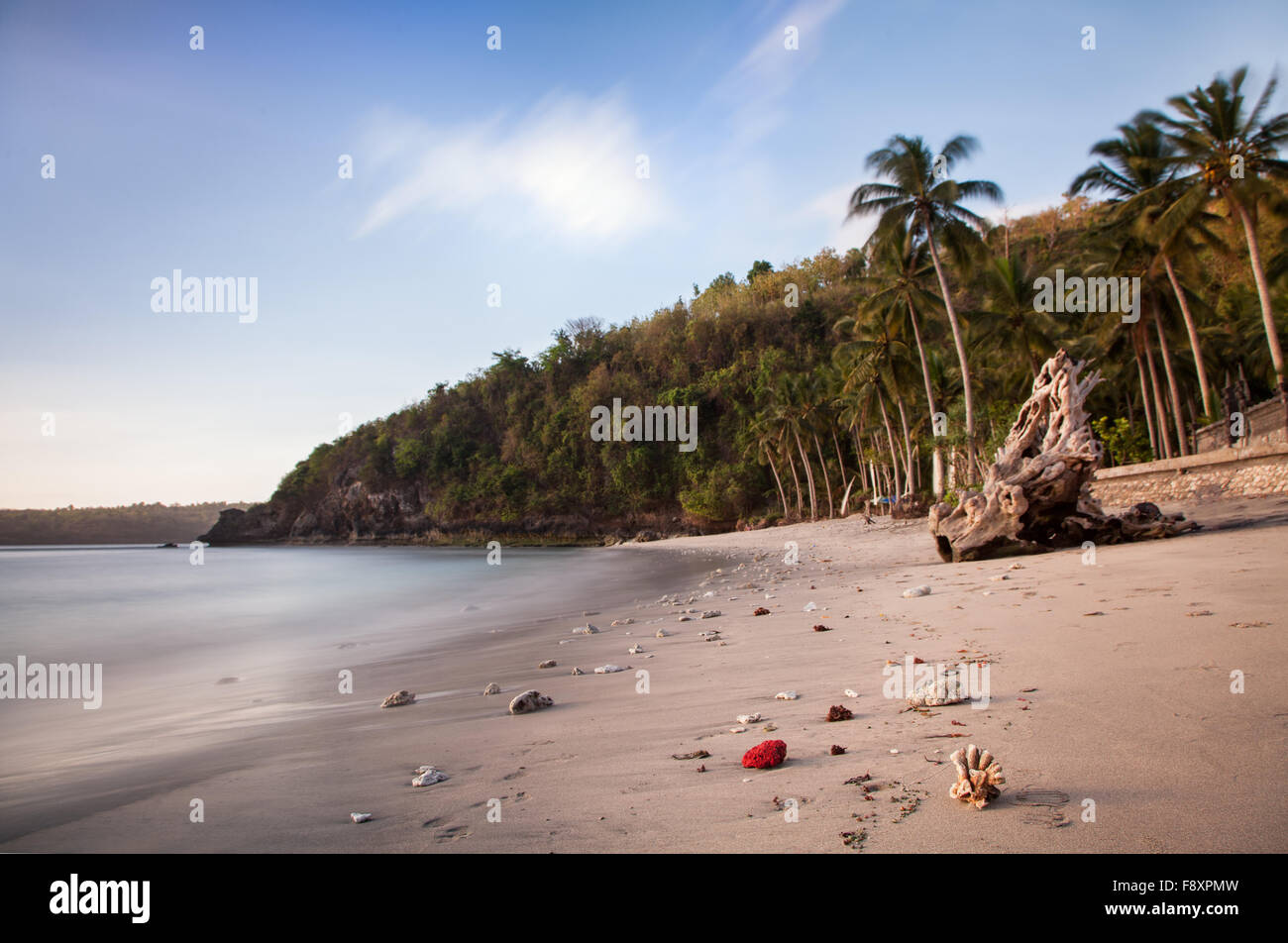 Crystal bay beach, à distance, sauvage et intacte plage naturelle sur Nusa Penida island en Indonésie. plage bordée de cocotiers et d'une escapade tropicale exotique Banque D'Images