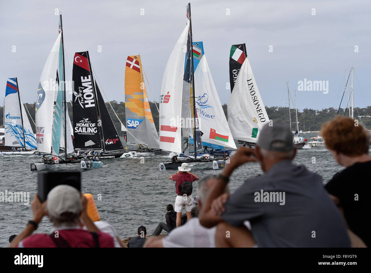 Sydney, Australie. Dec 12, 2015. Extreme Sailing Series 2015. Extreme 40 Stadium Course sur le port de Sydney. L'action de course sur le port. Credit : Action Plus Sport/Alamy Live News Banque D'Images