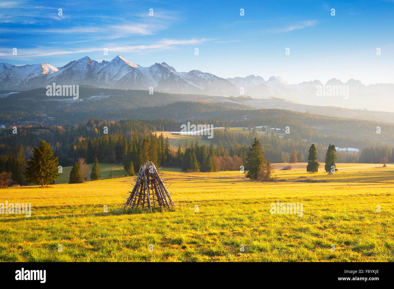 Région Podhale - voir des Hautes Tatras, près de Zakopane, Pologne Banque D'Images