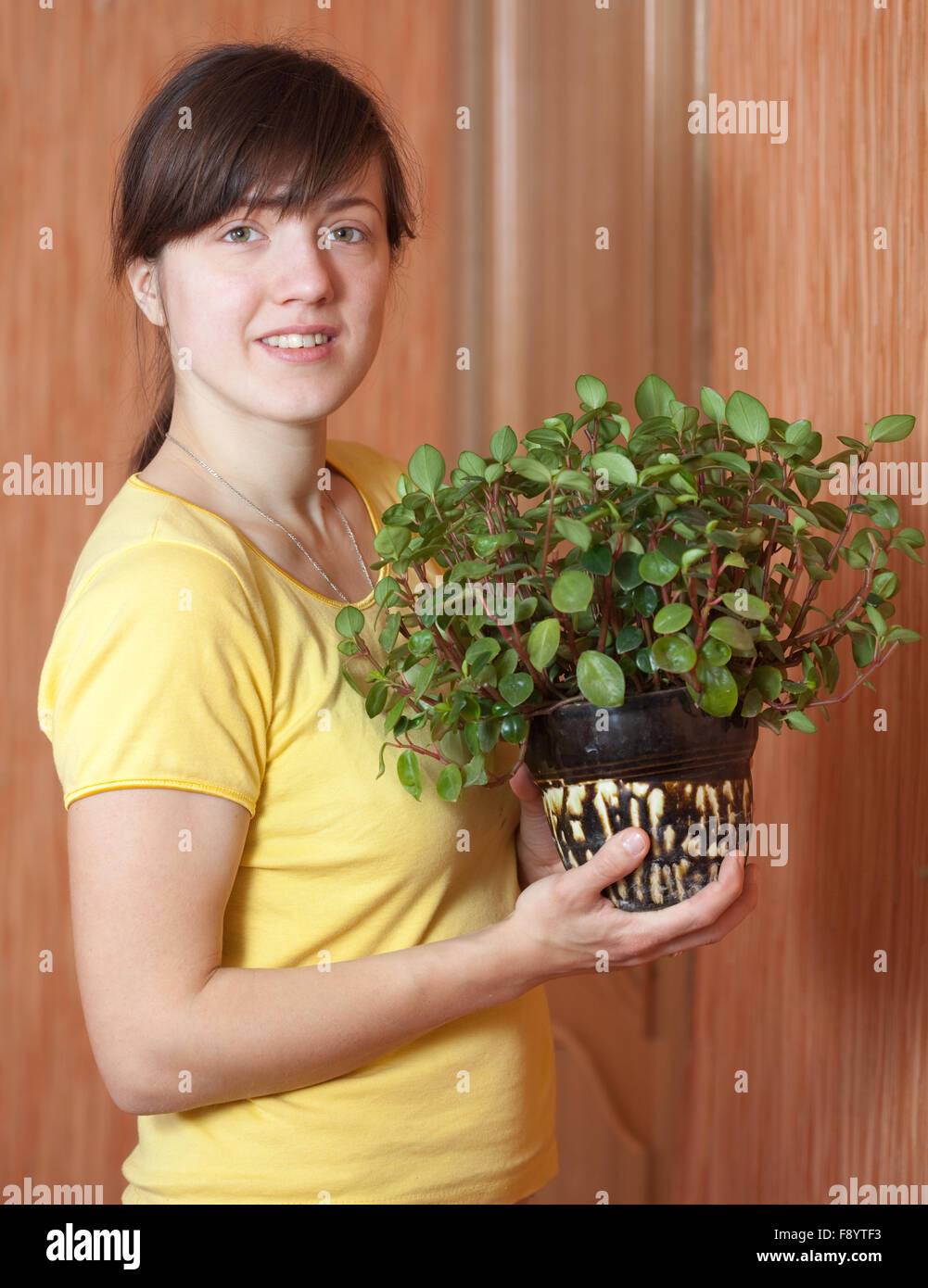 Jeune femme avec Peperomia obtusifolia en pot à fleurs à son domicile Banque D'Images
