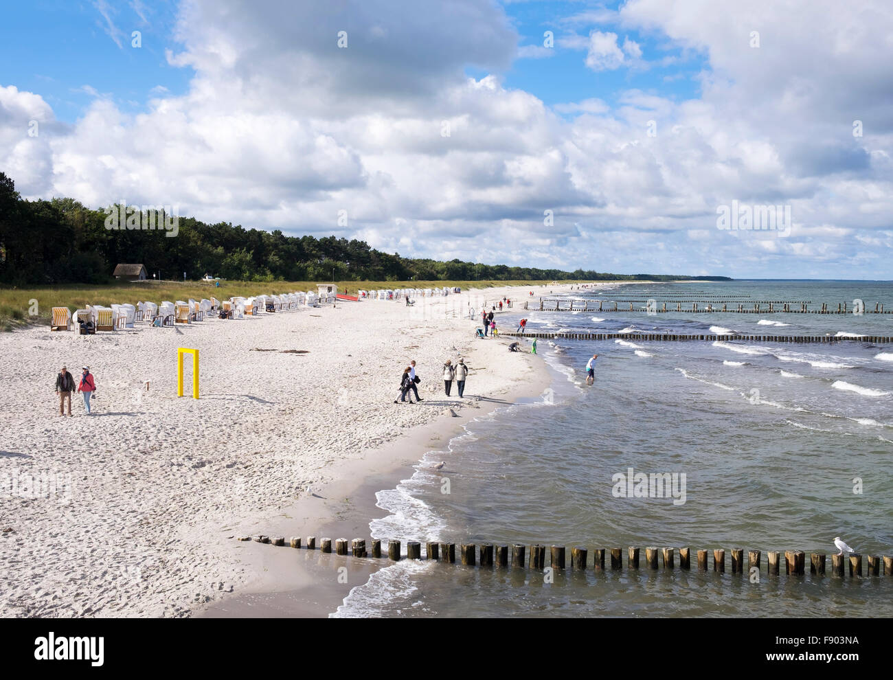 Plage de la mer Baltique à Ostseeheilbad Zingst, Spa Santé de la mer Baltique, Fischland-darss-Zingst, Poméranie occidentale Lagoon National Zone Banque D'Images