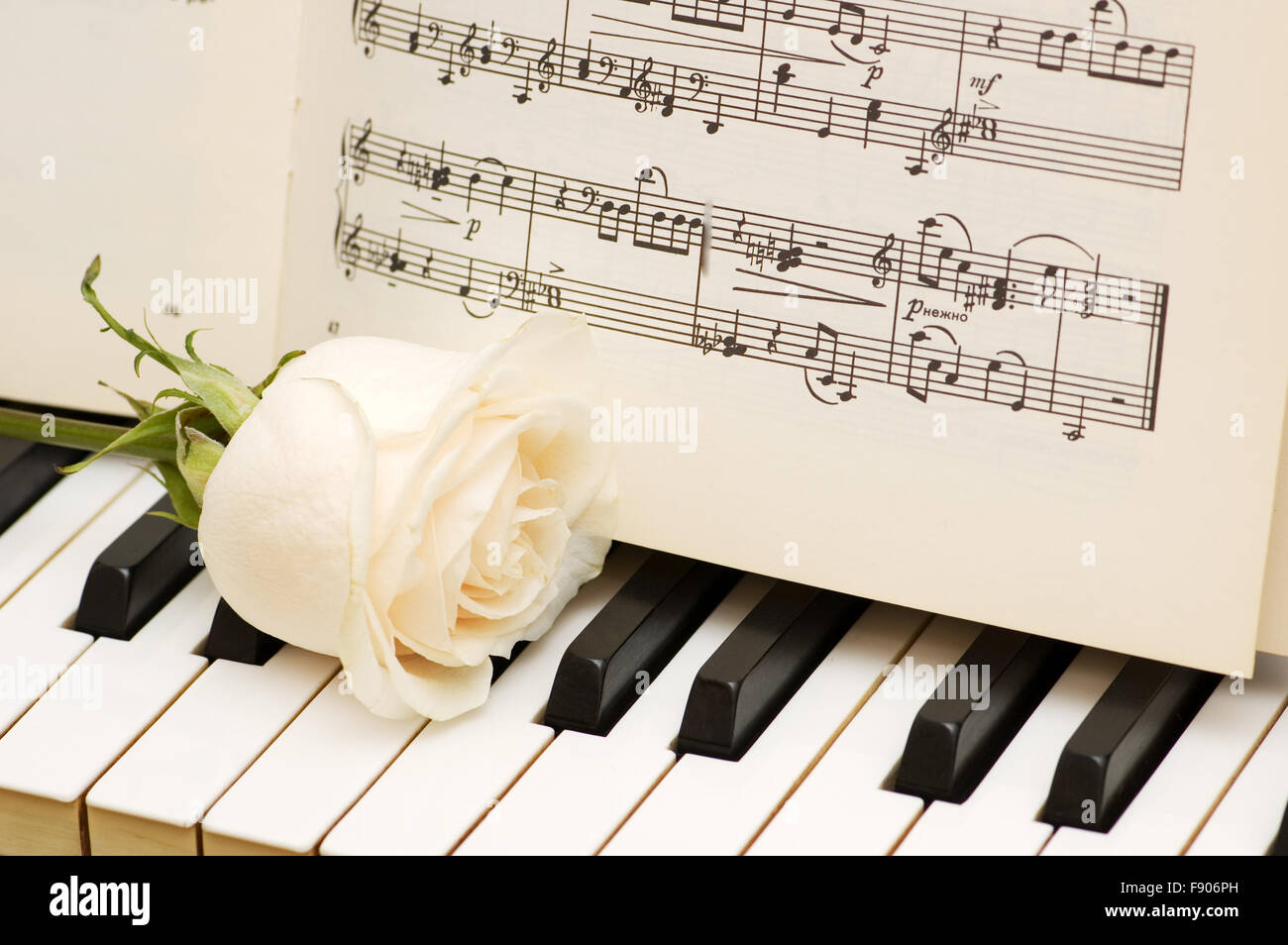 Concept romantique - rose blanche sur les touches de piano Photo Stock -  Alamy