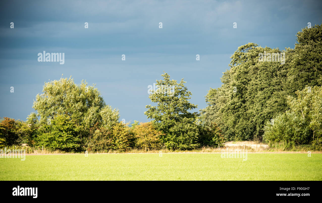 L'approche de tempête avec la lumière du soleil sur le paysage Banque D'Images