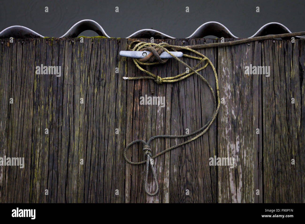 Un taquet est titulaire d'un voile à la place sur un lac Banque D'Images