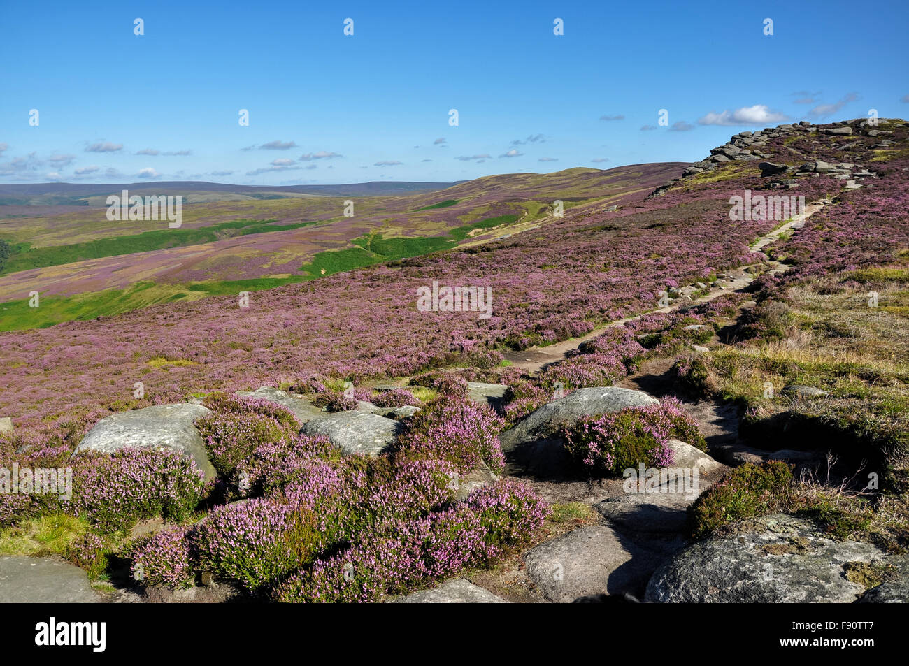 Sentier à travers la bruyère sur Derwent edge dans le Peak District, Derbyshire le long d'une journée d'été. Banque D'Images