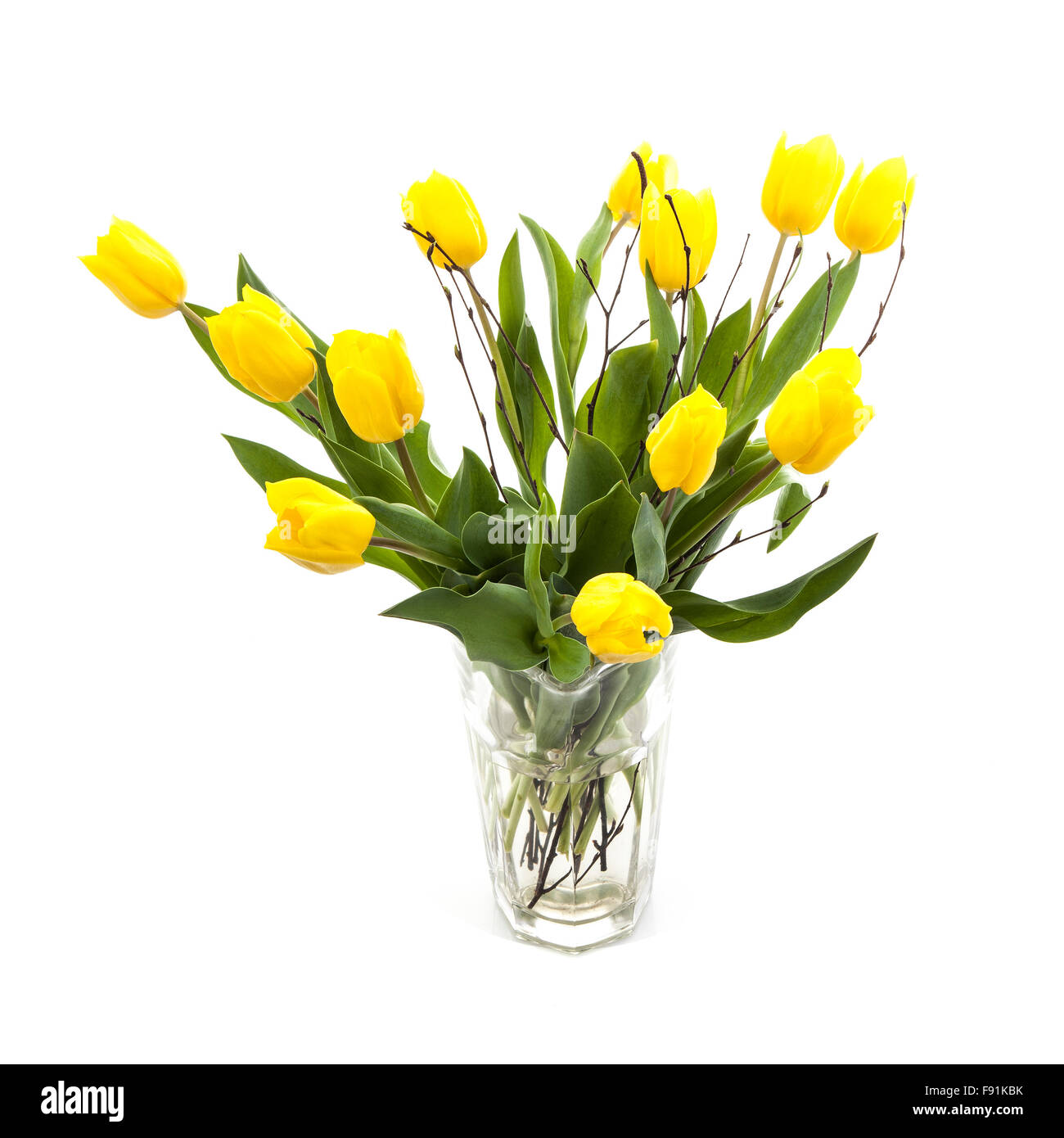 Tulipes jaunes dans un vase isolé sur fond blanc Banque D'Images