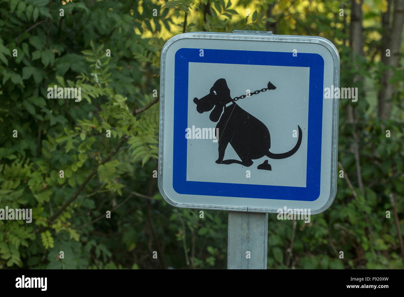 Effacer les excréments de votre chien signe, France. Banque D'Images
