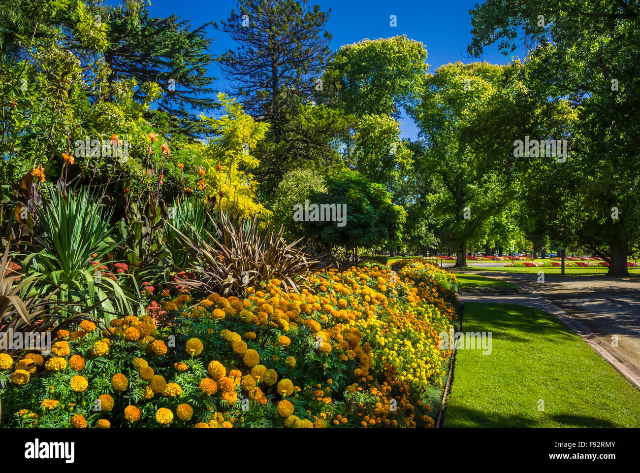 City Gardens, Royal Botanic Gardens, Melbourne, Australie Banque D'Images