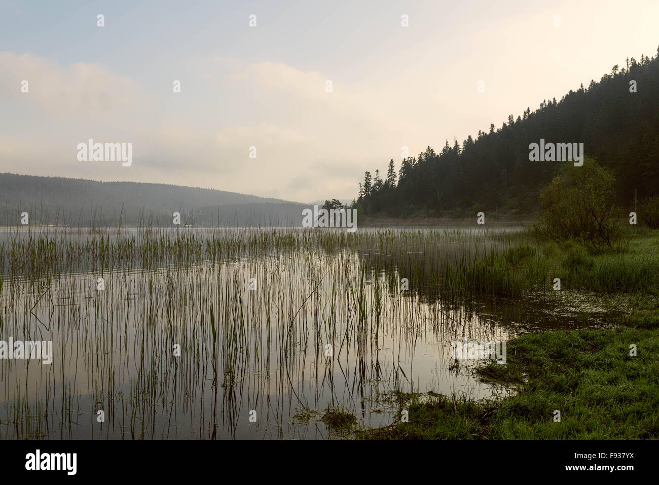 Abant Lac Un lac magnifique entouré de montagnes dans la région de Bolu Turquie. Banque D'Images