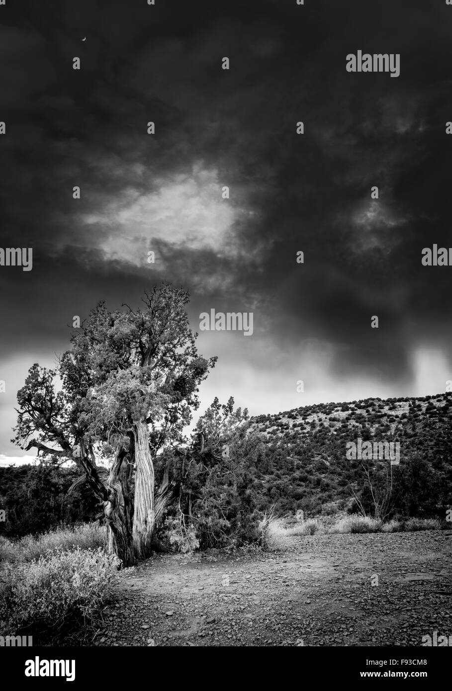 Ciel dramatique après le coucher du soleil à Arizona high desert. Sedona, Arizona. Traitement noir et blanc Banque D'Images