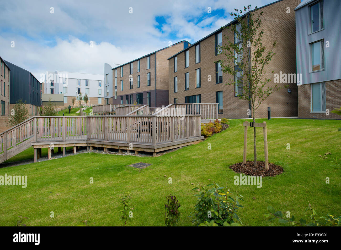 Freshers Semaine à l'Université UK : Penglais Farm des résidences, des blocs de nouveau un hébergement indépendant au début de Freshers semaine en université d'Aberystwyth, le 21 septembre 2015 Banque D'Images