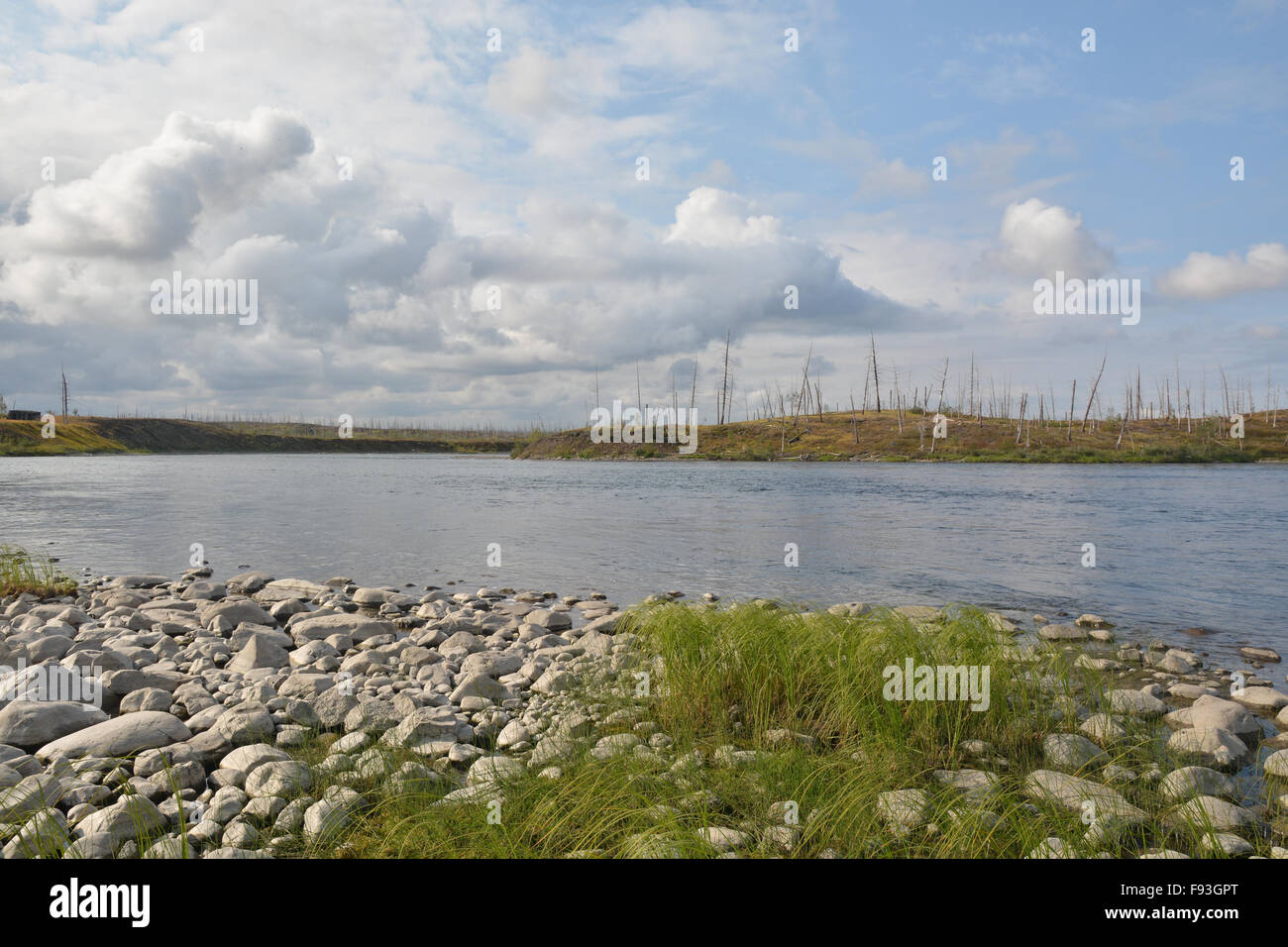 La pêche en rivière dans la région de Putorana plateau. Paysage de rivière avec une forêt morte sur les banques. Banque D'Images